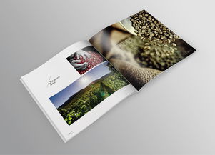 品味巅峰，源自纯粹——帝芬诺高端精品咖啡产品宣传画册